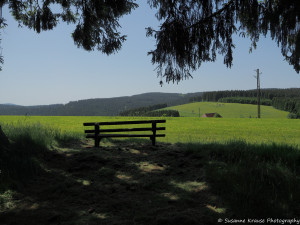 Das Foto zeigt eine Sitzbank von hinten mit Panoramablick über den Schwarzwald