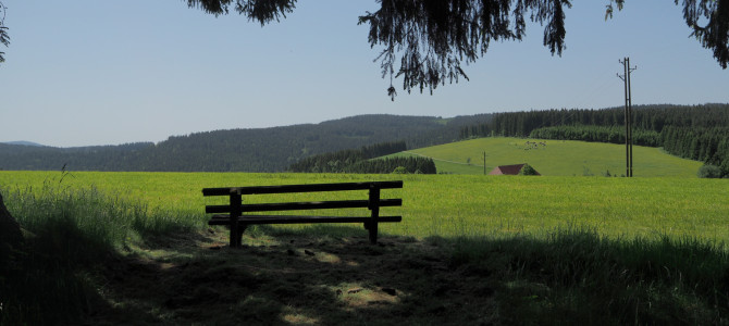 Westweg Wanderung 2. Etappe: Kalte Herberge – Feldberg-Bärental