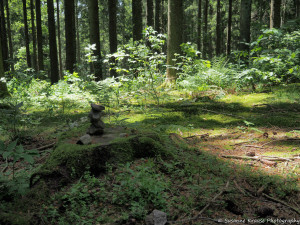 Das Foto zeigt ein kleines Steinmännchen auf einem Baumstumpf