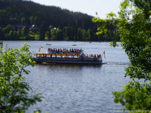 Das Foto zeigt ein Ausflugsboot auf dem Titisee