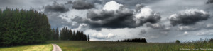 Das Foto zeigt eine Wiese am Waldrand. Am Himmel sind dunkle Wolken zu sehen. Das Bild hat eine dramatische Stimmung.