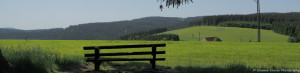Das Foto zeigt eine Sitzbank von hinten mit Panoramablick über den Schwarzwald