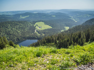 Das Foto zeigt den Blick vom Feldberg auf den Feldsee