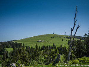 Das Foto zeigt die Sicht auf den Feldberg von Westen aus