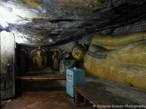 Das Foto zeigt Buddha Statuen im Höhlentempel in Dambulla