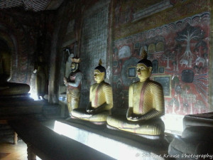 Das Foto zeigt Buddha Statuen im Höhlentempel in Dambulla