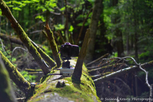 Timelapse Installation am Blausee